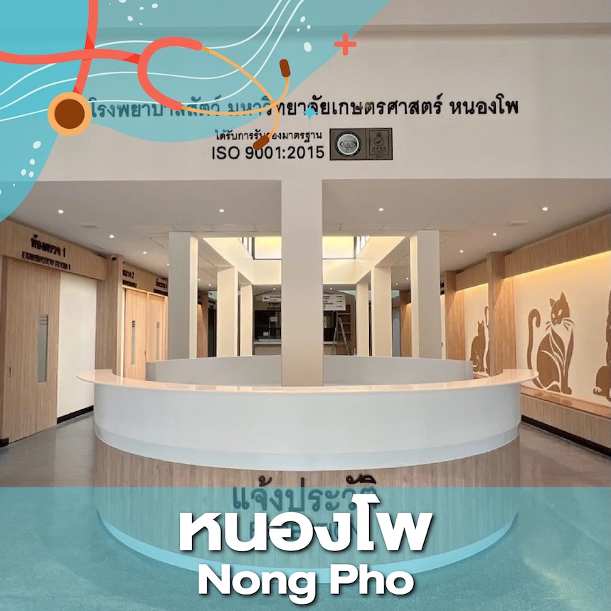 โรงพยาบาลสัตว์ มหาวิทยาลัยเกษตรศาสตร์ หนองโพ