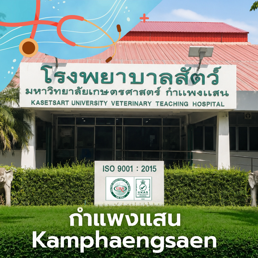 Kasetsart University Veterinary Teaching Hospital, Kamphaeng Saen