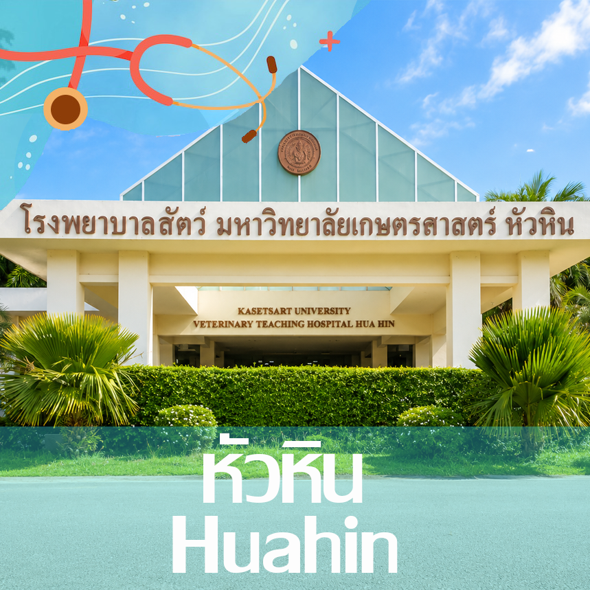 Kasetsart University Veterinary Teaching Hospital, Hua Hin