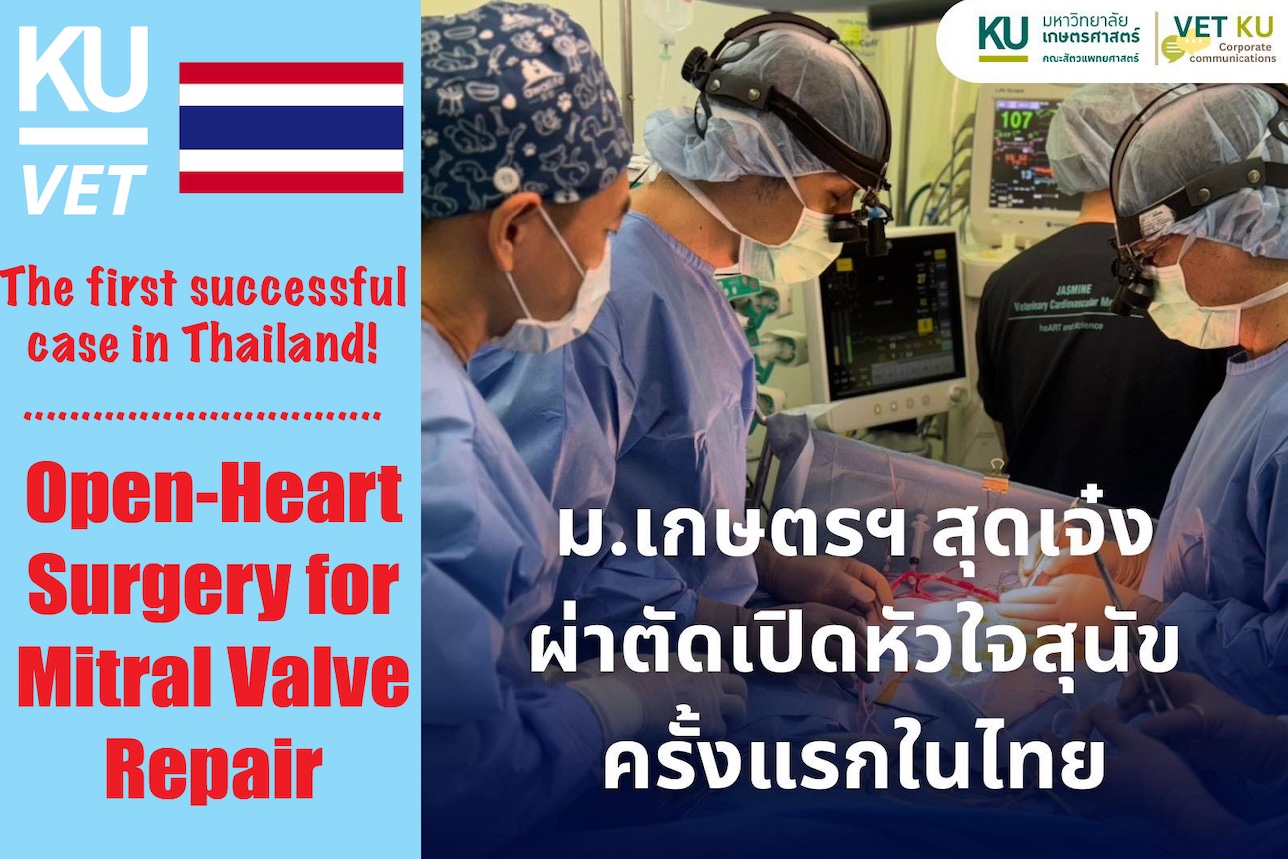 Open-Heart Surgery for Mitral Value Repair
