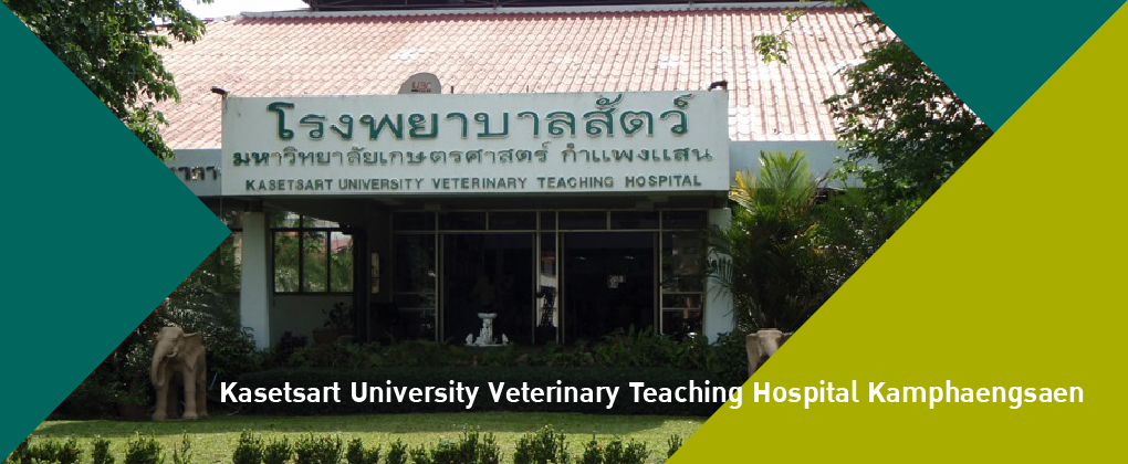 Kasetsart University Veterinary Teaching Hospital Kamphaengsaen